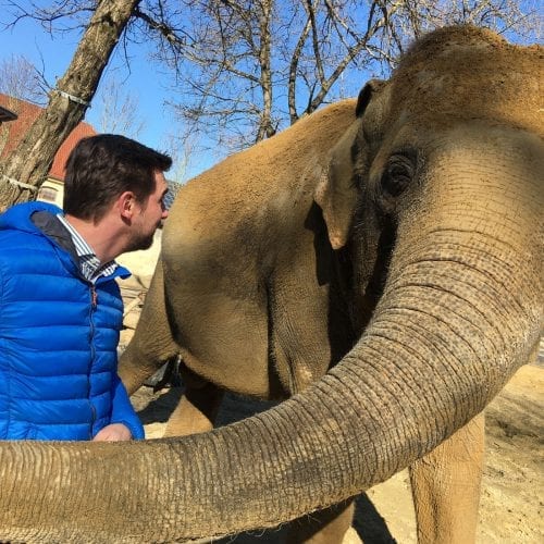 glas seele sposert das neue Elefantenhaus im Zoo Augsburg