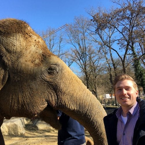 glas seele sposort das neue Elefantenhaus im Zoo Augsburg